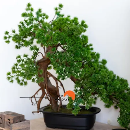 公寓 #194 Dream Flat By Holidays *